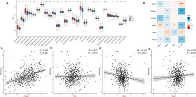A DNA Damage Repair Gene Signature Associated With Immunotherapy Response and Clinical Prognosis in Clear Cell Renal Cell Carcinoma